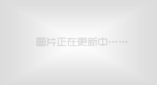 国产汽车应在市场调整中加快培育自主创新能力